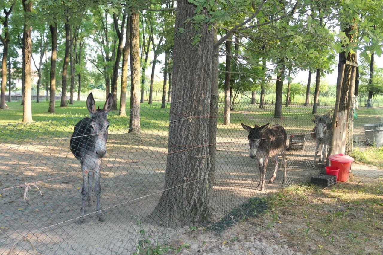 Magliano Alfieri Locanda Del Molino Vecchioヴィラ エクステリア 写真