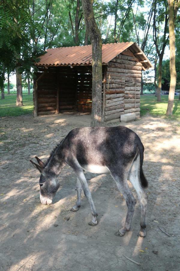 Magliano Alfieri Locanda Del Molino Vecchioヴィラ エクステリア 写真